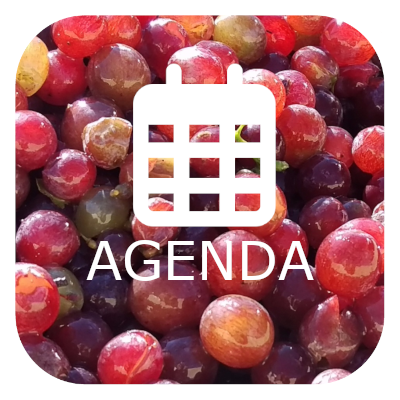agenda-lorang-mini.jpg