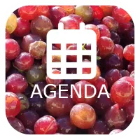 agenda-lorang-mini.webp